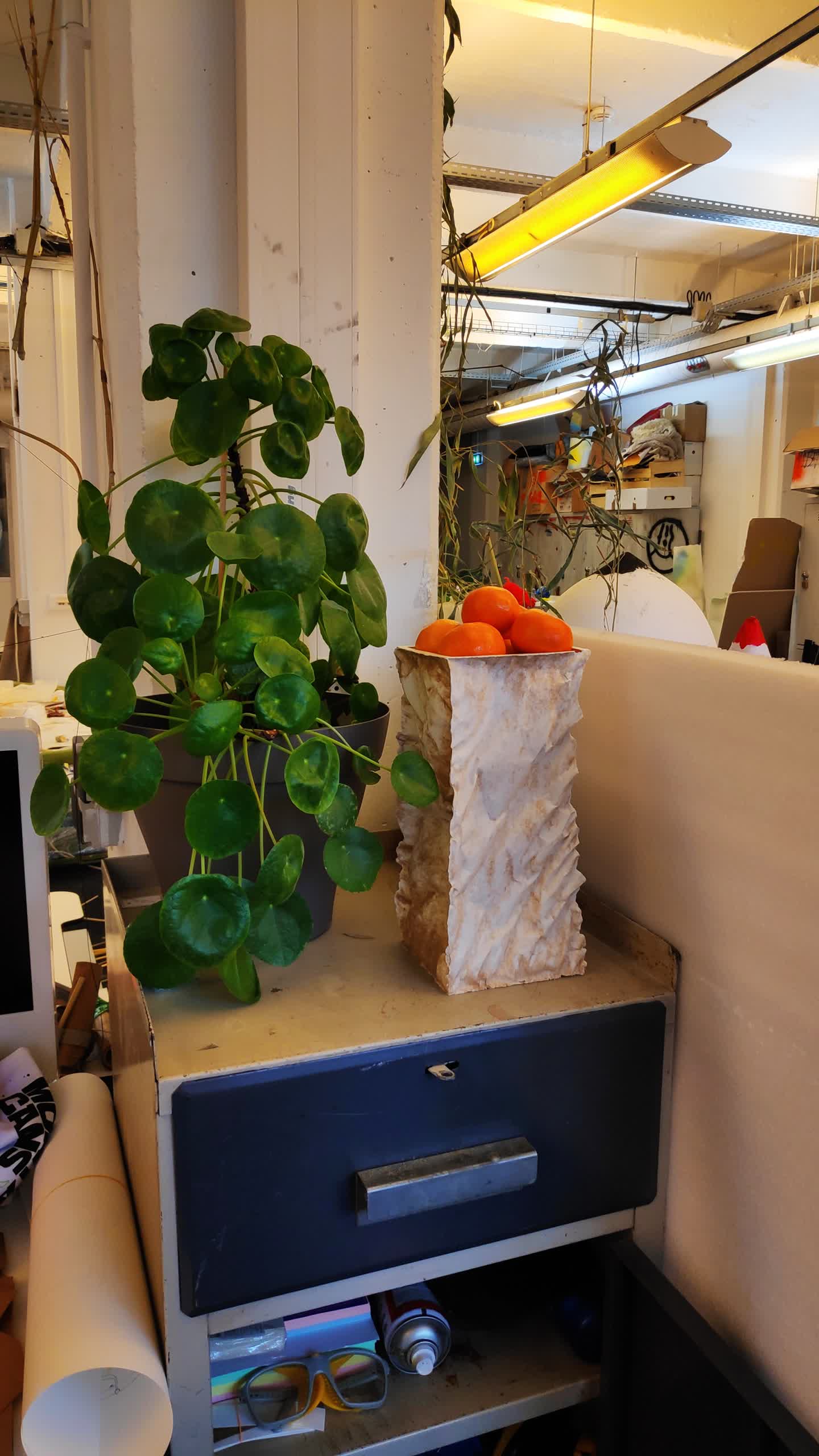 moulés dans du papier